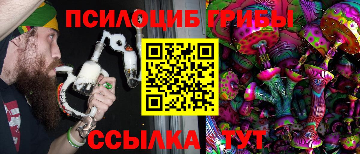 Псилоцибиновые грибы Psilocybe Майский
